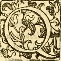 An illustration from Della felicità di Padova (1623)