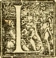 An illustration from Della felicità di Padova (1623)