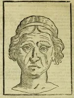 An illustration from Della fisionomia dell'huomo (1644)