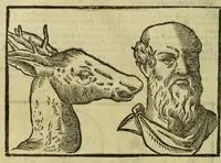 Picture 17 of 50 from Della fisionomia dell'huomo (1644), leaf 142