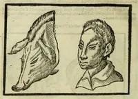 Picture 18 of 50 from Della fisionomia dell'huomo (1644), leaf 144