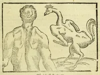 Picture 20 of 50 from Della fisionomia dell'huomo (1644), leaf 153