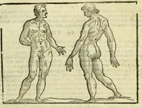 An illustration from Della fisionomia dell'huomo (1644)
