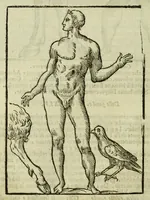 Picture 22 of 50 from Della fisionomia dell'huomo (1644), leaf 180