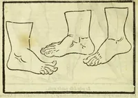 An illustration from Della fisionomia dell'huomo (1644)