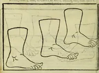 An illustration from Della fisionomia dell'huomo (1644)