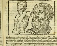 An illustration from Della fisionomia dell'huomo (1644)