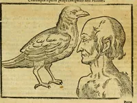 Picture 32 of 50 from Della fisionomia dell'huomo (1644), leaf 245