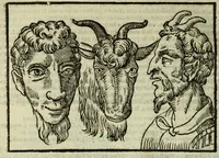 Picture 34 of 50 from Della fisionomia dell'huomo (1644), leaf 308