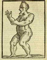Picture 35 of 50 from Della fisionomia dell'huomo (1644), leaf 311