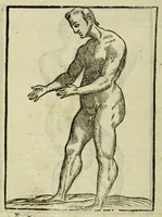 Picture 38 of 50 from Della fisionomia dell'huomo (1644), leaf 328
