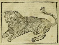 Picture 2 of 50 from Della fisionomia dell'huomo (1644), leaf 34