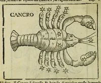 Picture 46 of 50 from Della fisionomia dell'huomo (1644), leaf 504