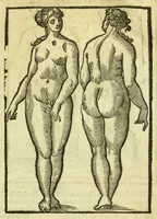 Picture 4 of 50 from Della fisionomia dell'huomo (1644), leaf 51