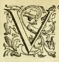 Picture 50 of 50 from Della fisionomia dell'huomo (1644), leaf 551