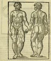 Picture 5 of 50 from Della fisionomia dell'huomo (1644), leaf 59