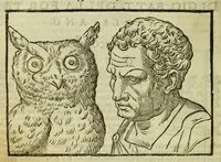 Picture 7 of 50 from Della fisionomia dell'huomo (1644), leaf 70