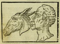 An illustration from Della fisionomia dell'huomo (1644)