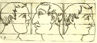 Picture 22 of 67 from Della fisonomia dell' huomo (1610), leaf 105