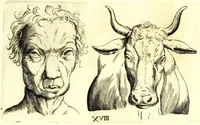 Picture 25 of 67 from Della fisonomia dell' huomo (1610), leaf 109