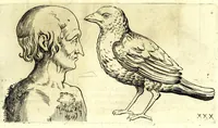 Picture 26 of 67 from Della fisonomia dell' huomo (1610), leaf 111