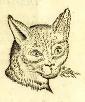 Picture 31 of 67 from Della fisonomia dell' huomo (1610), leaf 127