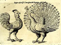 Picture 38 of 67 from Della fisonomia dell' huomo (1610), leaf 167
