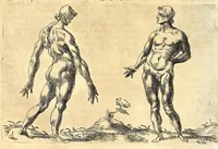 Picture 39 of 67 from Della fisonomia dell' huomo (1610), leaf 180