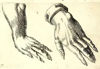 Picture 44 of 67 from Della fisonomia dell' huomo (1610), leaf 202