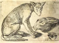 Picture 45 of 67 from Della fisonomia dell' huomo (1610), leaf 206