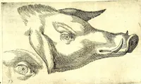 Picture 50 of 67 from Della fisonomia dell' huomo (1610), leaf 225