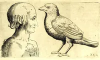 An illustration from Della fisonomia dell' huomo (1610)