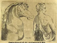 Picture 57 of 67 from Della fisonomia dell' huomo (1610), leaf 279