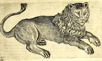 Picture 2 of 67 from Della fisonomia dell' huomo (1610), leaf 35