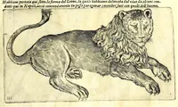 Picture 9 of 67 from Della fisonomia dell' huomo (1610), leaf 63