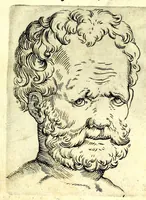 Picture 17 of 67 from Della fisonomia dell' huomo (1610), leaf 87