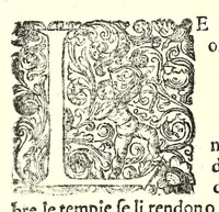 Picture 21 of 67 from Della fisonomia dell' huomo (1610), leaf 98