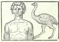 Picture 10 of 56 from Della fisonomia dell'huomo (1613), leaf 106