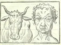Picture 12 of 56 from Della fisonomia dell'huomo (1613), leaf 117