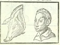 An illustration from Della fisonomia dell'huomo (1613)