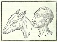 An illustration from Della fisonomia dell'huomo (1613)