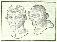 An illustration from Della fisonomia dell'huomo (1613)