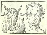 An illustration from Della fisonomia dell'huomo (1613)