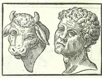 Picture 21 of 56 from Della fisonomia dell'huomo (1613), leaf 154
