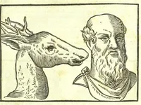An illustration from Della fisonomia dell'huomo (1613)