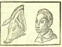 An illustration from Della fisonomia dell'huomo (1613)