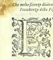 An illustration from Della fisonomia dell'huomo (1613)