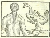Picture 29 of 56 from Della fisonomia dell'huomo (1613), leaf 216