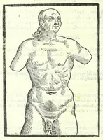Picture 32 of 56 from Della fisonomia dell'huomo (1613), leaf 230