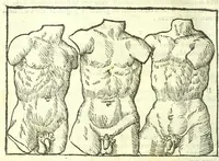Picture 33 of 56 from Della fisonomia dell'huomo (1613), leaf 234